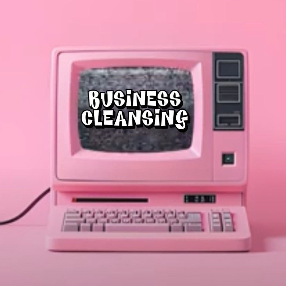 BUSINESS CLEANSING